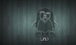 Featured image of post OS