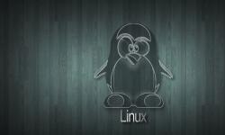 Featured image of post OS