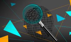 Featured image of post Project